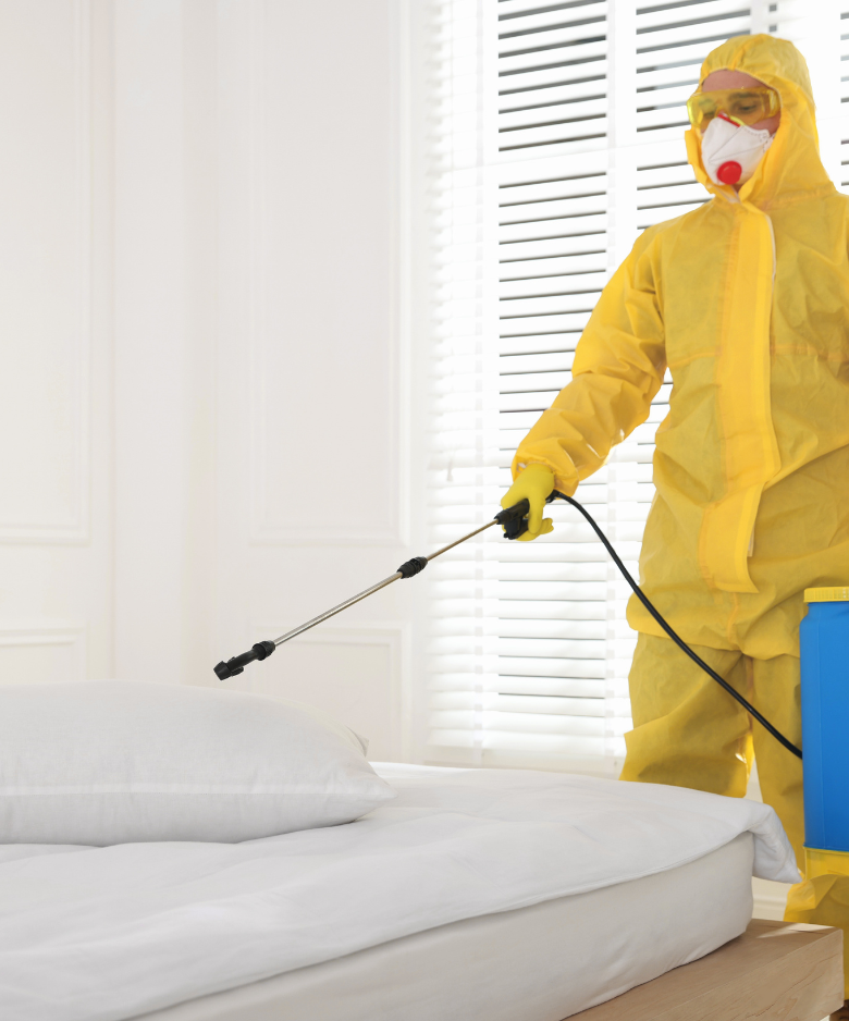 Professional Pest Control Team in North Haven